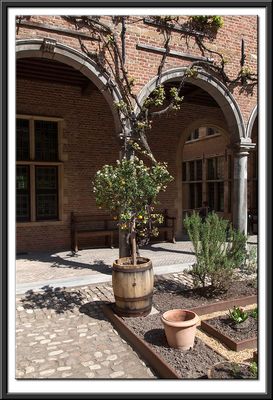 Cloister Garden