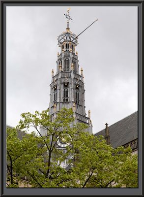 City of Haarlem and The St. Bavo Church