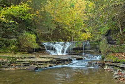 Robert H Treman State Park 1