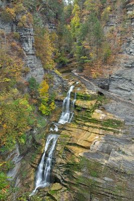 Robert H Treman State Park 3