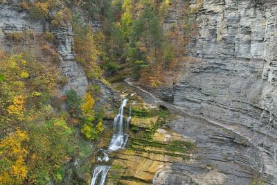 Robert H Treman State Park 4