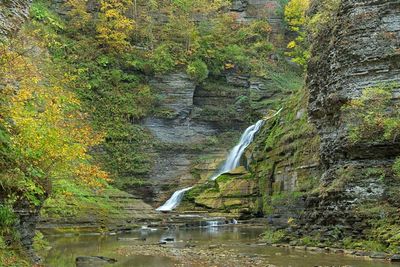 Robert H Treman State Park 5