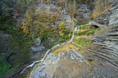 Robert H Treman State Park 6