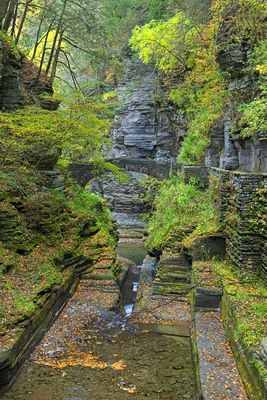 Robert H Treman State Park 9