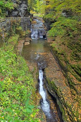 Robert H Treman State Park 10