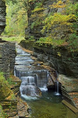 Robert H Treman State Park 11