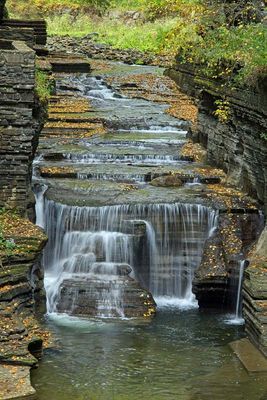Robert H Treman State Park 12