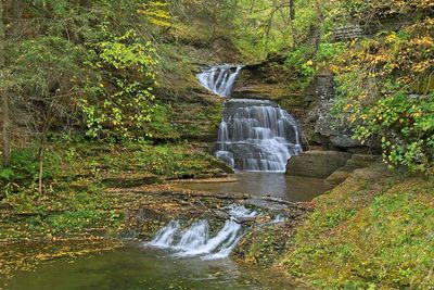 Robert H Treman State Park 13