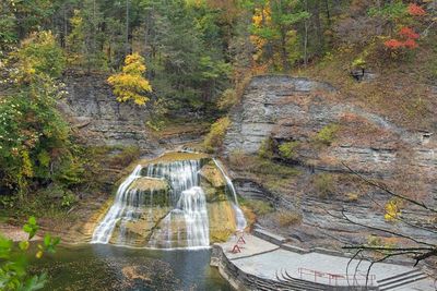 Robert H Treman State Park 15