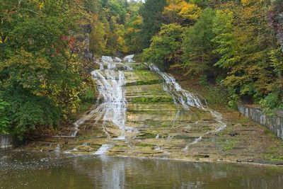 Buttermilk Falls State Park 1