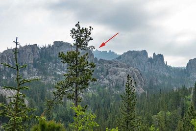 Custer State Park 3