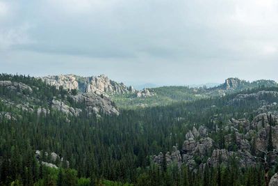Custer State Park 4