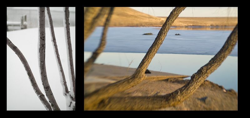 Diptychs
