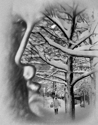 Tree of Life 2.jpg