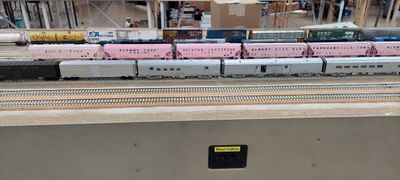 20230121_124141.jpg