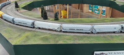 20230121_124459.jpg