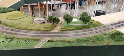 20230121_125037.jpg