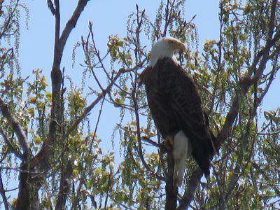IMG_6433.JPG