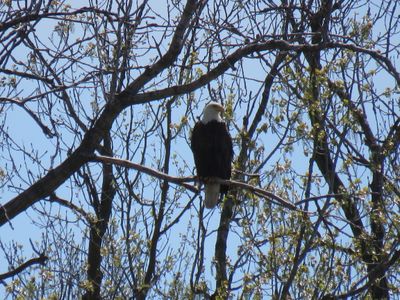 IMG_6436.JPG