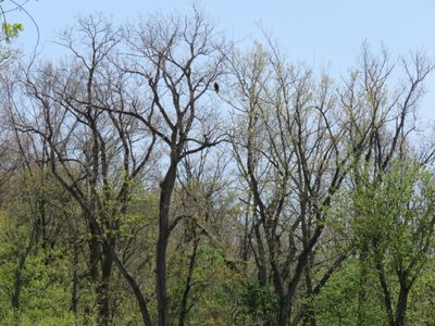 IMG_6445.JPG