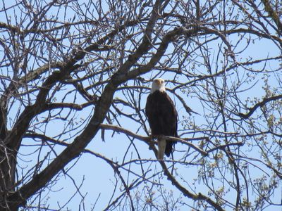 IMG_6446.JPG