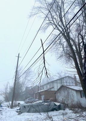 IMG_3253.jpeg