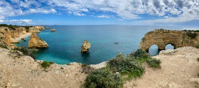 IMG_4952.jpeg