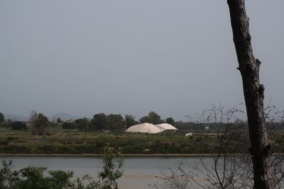 IMG_6965.JPG
