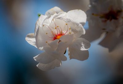 20250510_Floweer_0210.jpg