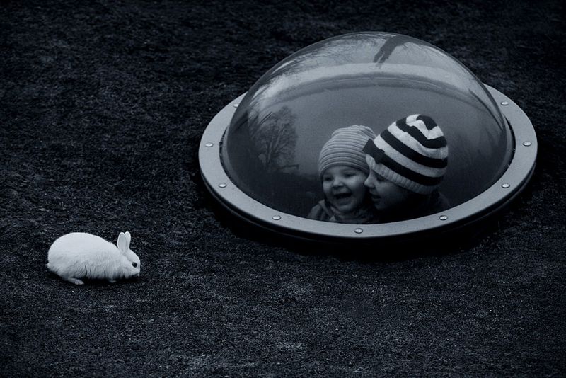Outer Space Rabbit