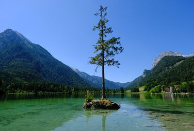 Hintersee