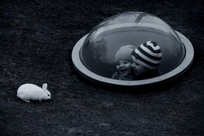 Outer Space Rabbit