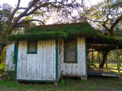 Cooks Shed #4 - Florida's version of Icelandic turf house.jpg