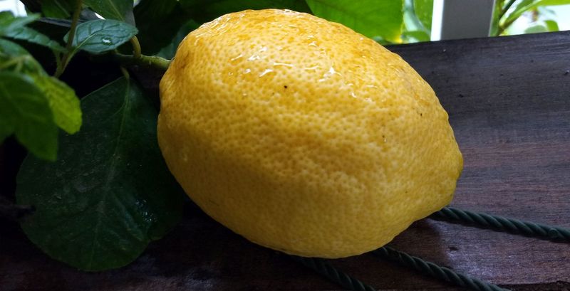 Lemon and Lime