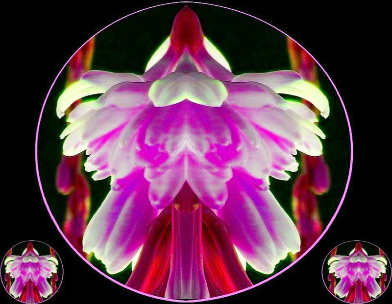 Relinquishing Words 6