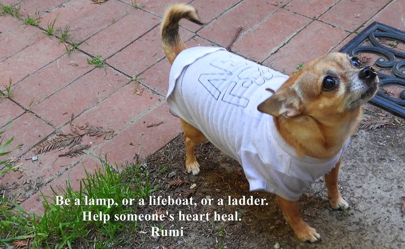 Be a Lamp