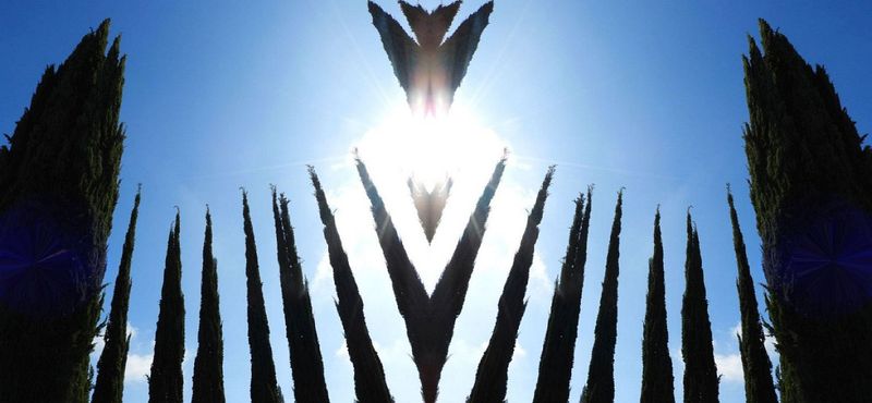 Arch Angles of Yuba City