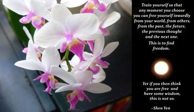 Train Yourself