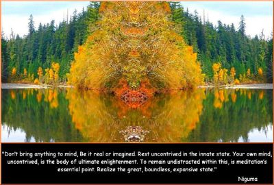The Innate State