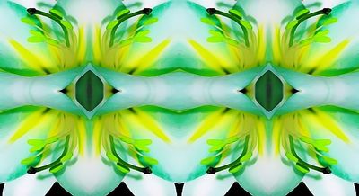 g13/79/738779/3/163696576.125ca864.JPEG