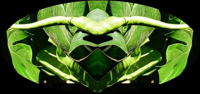 g13/79/738779/3/168357441.aa3d6e47.JPEG