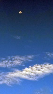 g13/79/738779/3/168597723.5c1164d1.JPEG