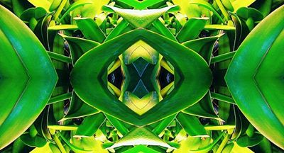 g13/79/738779/3/169934133.11b5a5e0.JPEG