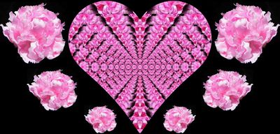 g13/79/738779/3/170168164.c4eab783.JPEG