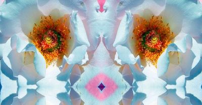 g13/79/738779/3/170169779.ae0118f3.JPEG