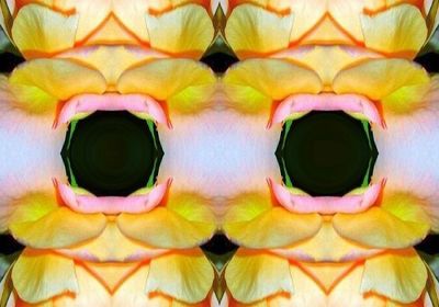g13/79/738779/3/170209296.3d5d8826.JPEG