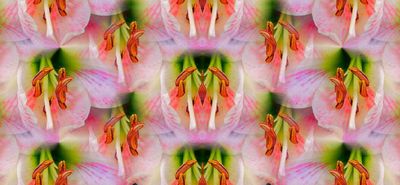 Sat Chit Ananda