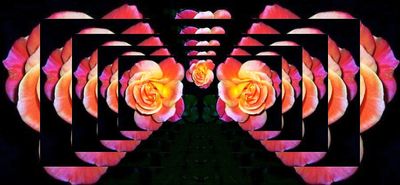 g13/79/738779/3/171983746.e1620b82.JPEG