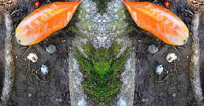 g13/79/738779/3/173002243.4fe51660.JPEG