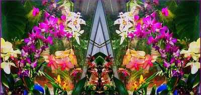 g13/79/738779/3/173148619.39c1961a.JPEG